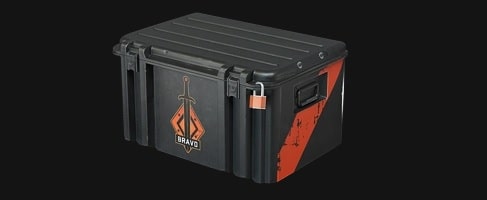 csgo weapon case